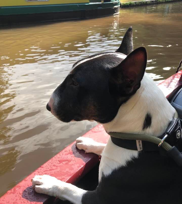 Country Craft Narrowboats-Llangynidr必去景点