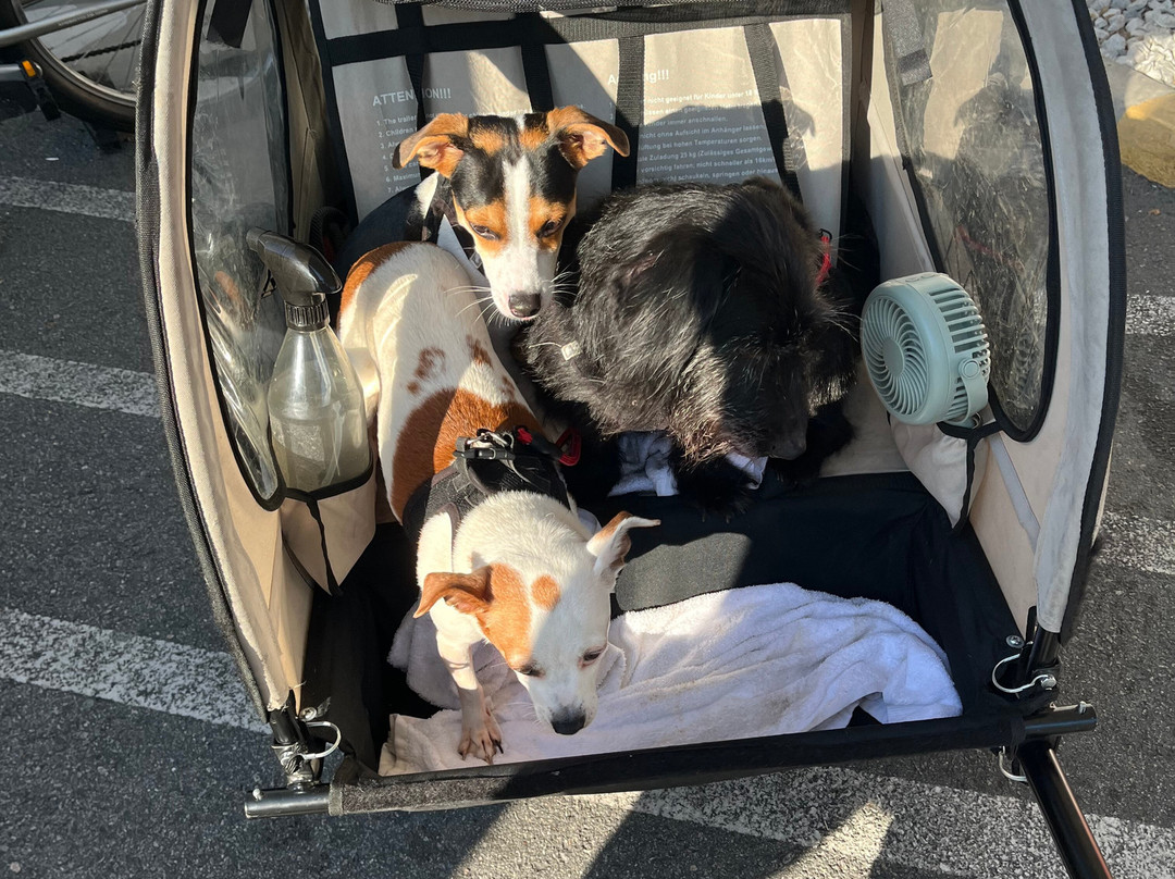 Savannah On Wheels-萨凡纳必去景点