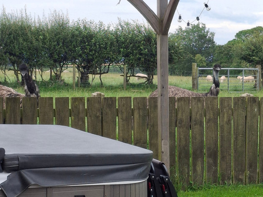 Mount Farm B&B主图