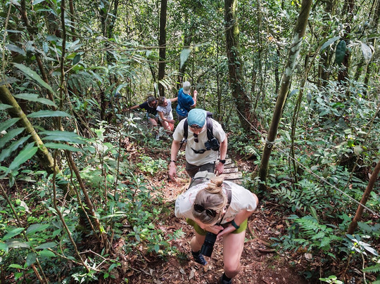 Lets Go Discovery (LGDTT)-丹那拉塔必去景点