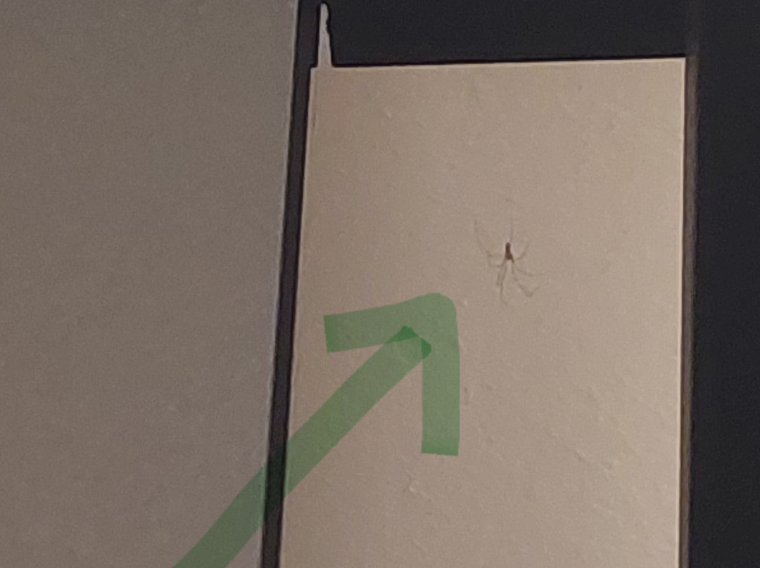 Hotel Acropolis主图