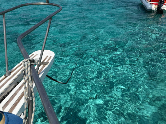 Palau Blue Tours-帕劳必去景点