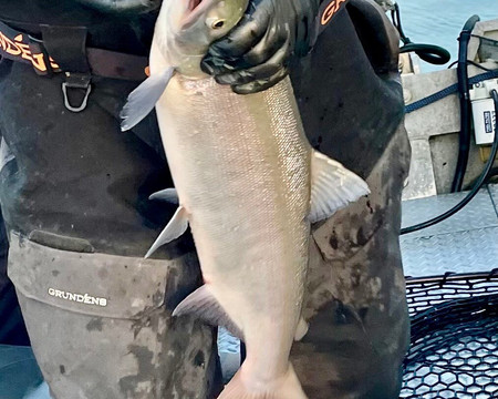 D's Fishing Company-基奈必去景点