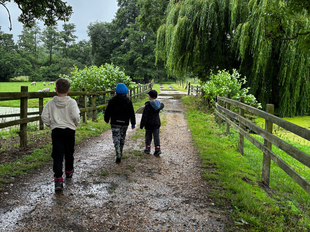 Easton Farm Park-Easton必去景点