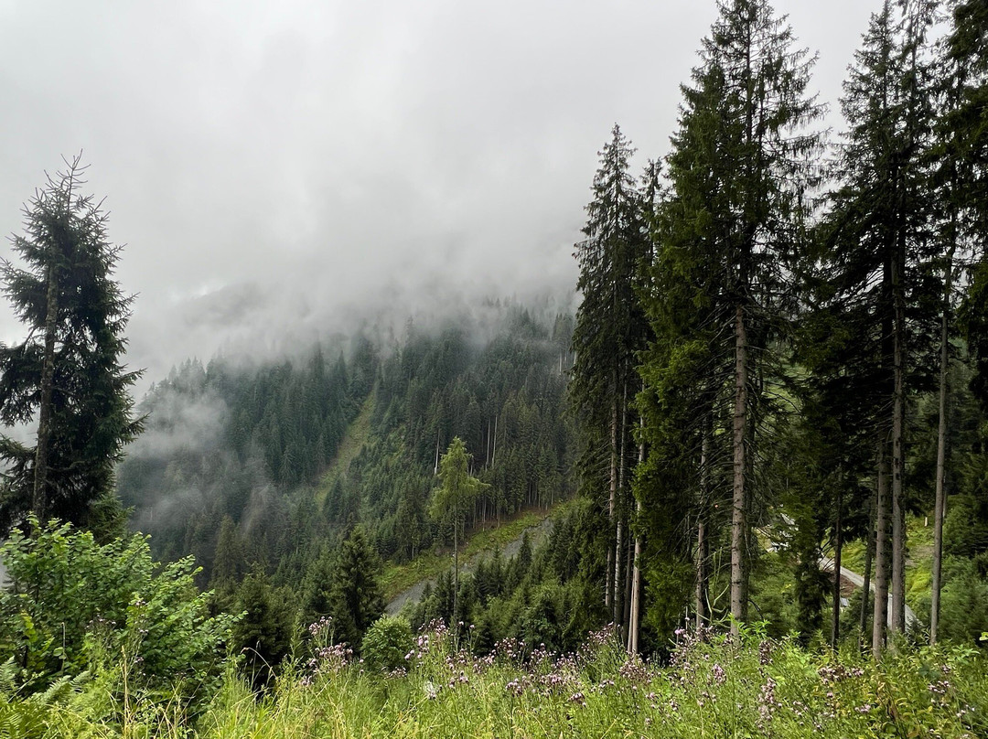 Murmelland Zillertal-Kaltenbach必去景点