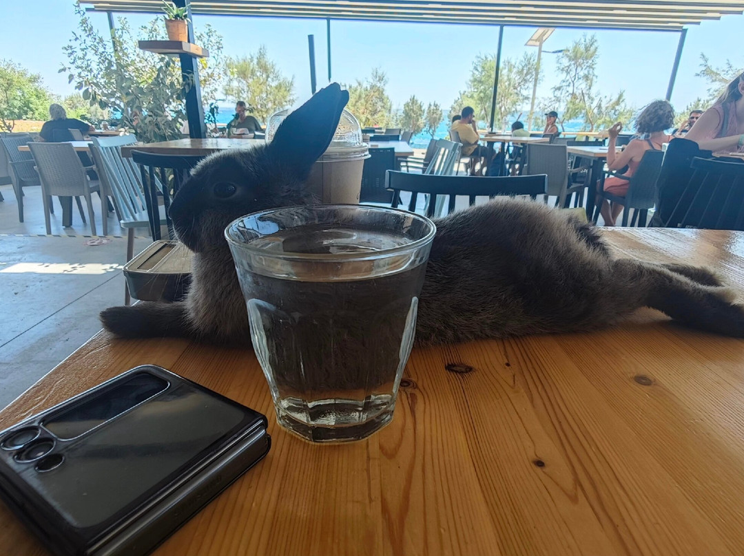 CRETA SAFARI PATHFINDERS-Kournas必去景点