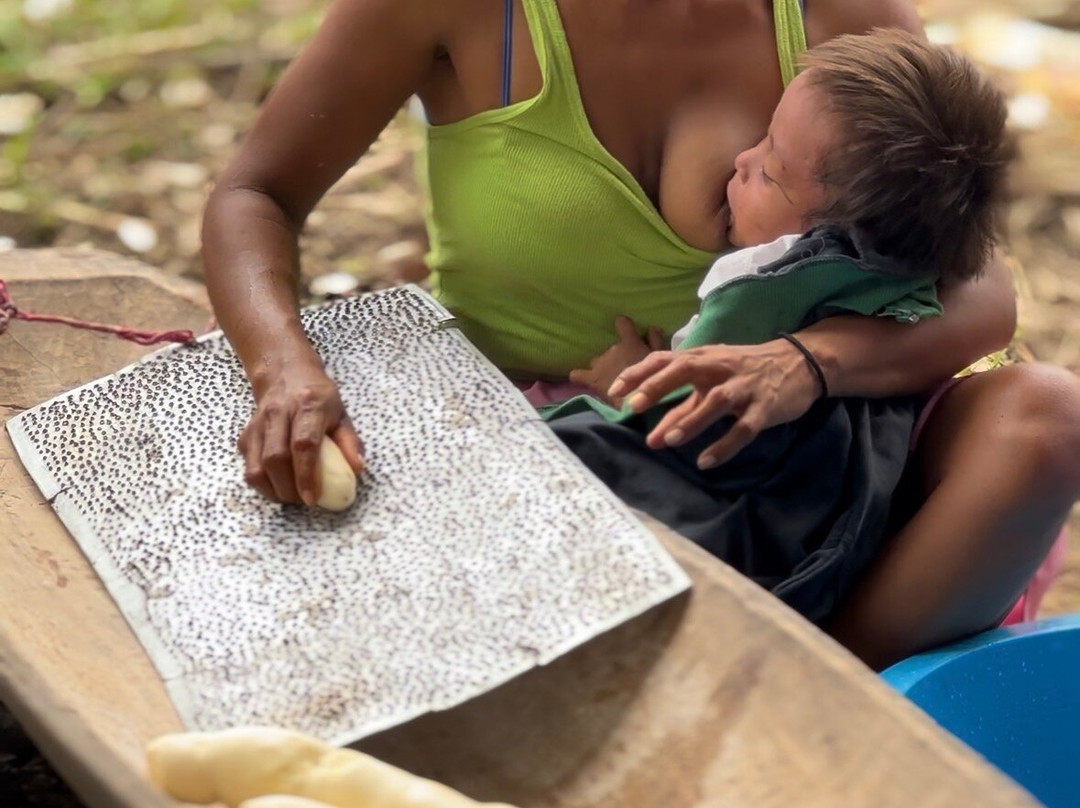 Amazon Travel-Coca必去景点