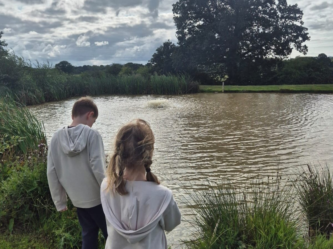 Stamford Way Fisheries and Camping-Ewloe必去景点