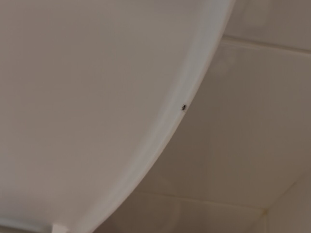 Ace Hotel Troyes主图