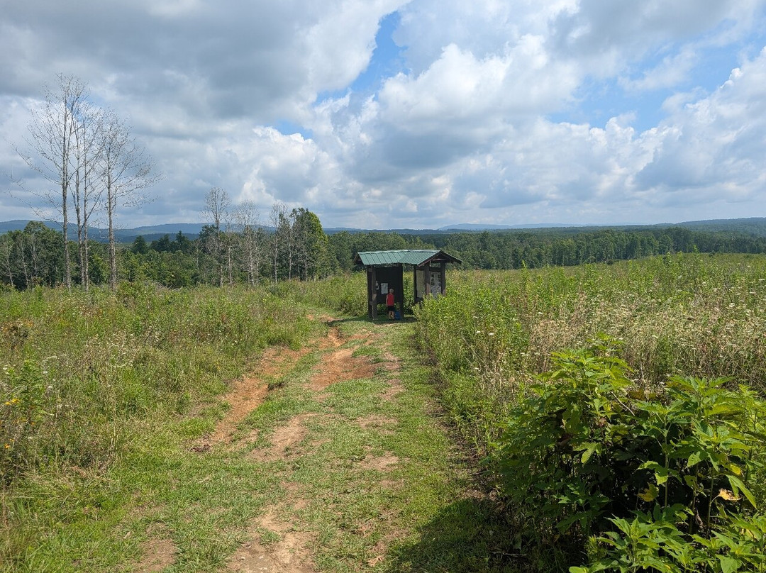 Stinging Fork Falls-Spring City必去景点
