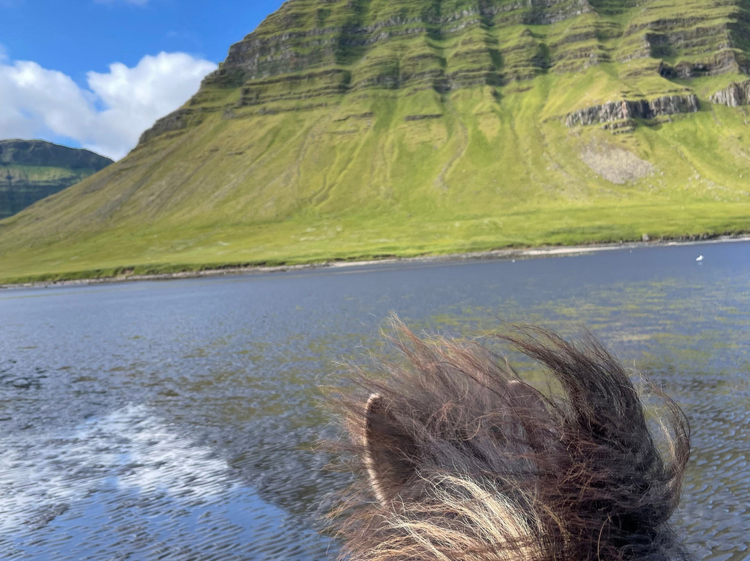 Kirkjufell Horse Center-格伦达菲厄泽必去景点