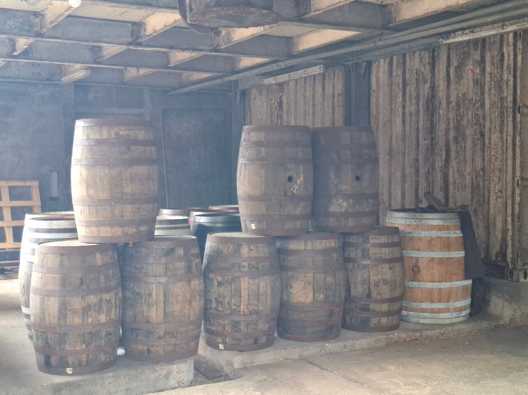 Distillerie du Rhum Montebello-Petit-Bourg必去景点