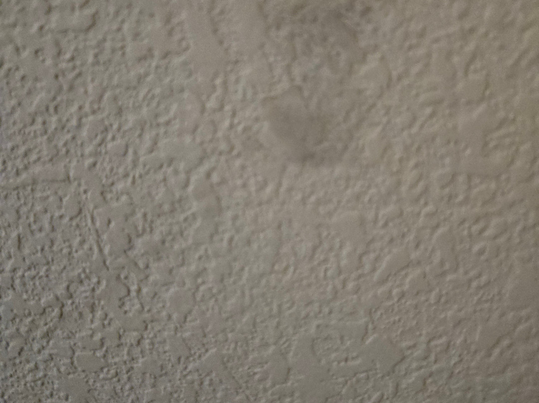 Baymont by Wyndham Corbin主图