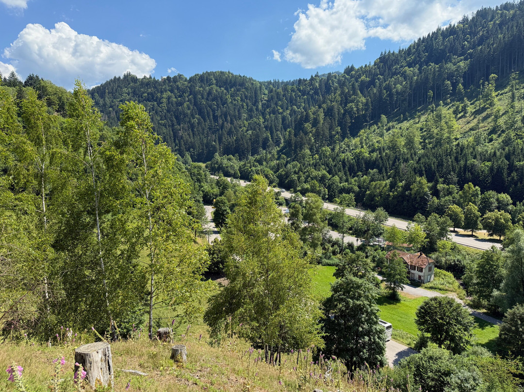 Galgenbuhl Hollsteig-Breitnau必去景点