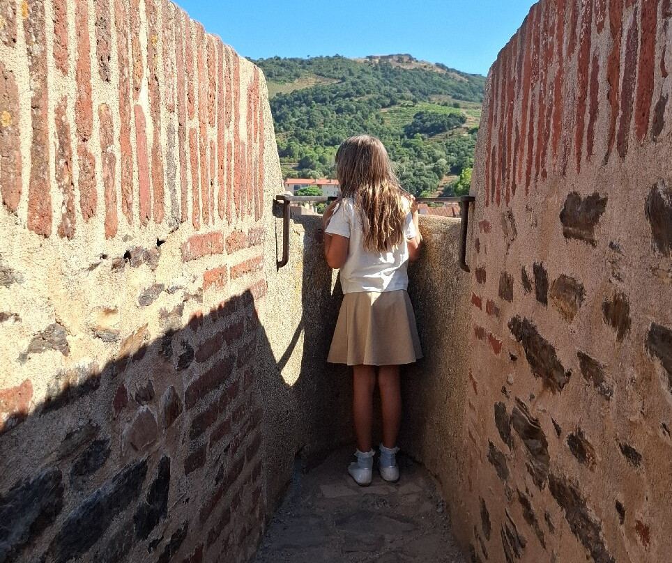 Château Royal de Collioure-科利乌尔必去景点
