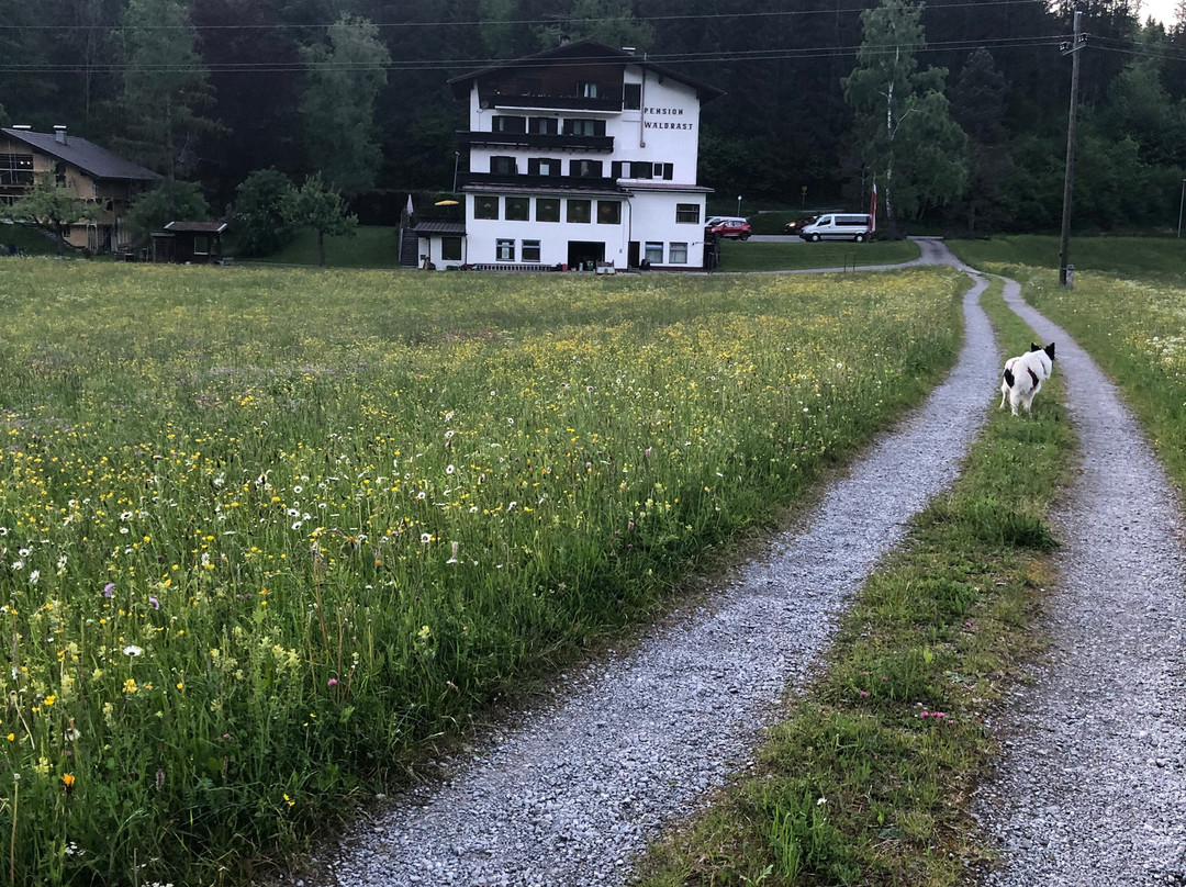 Pension Garni Waldrast主图