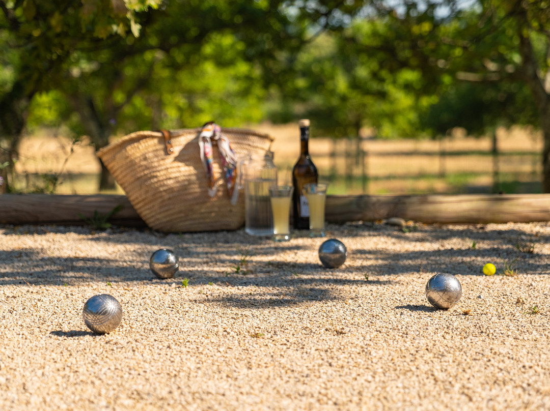 Mas Bella Cortis主图