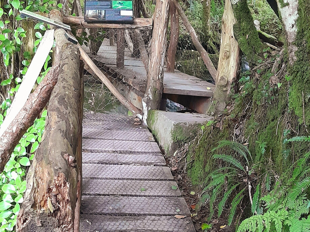 The Ewe Experience-Glengarriff必去景点