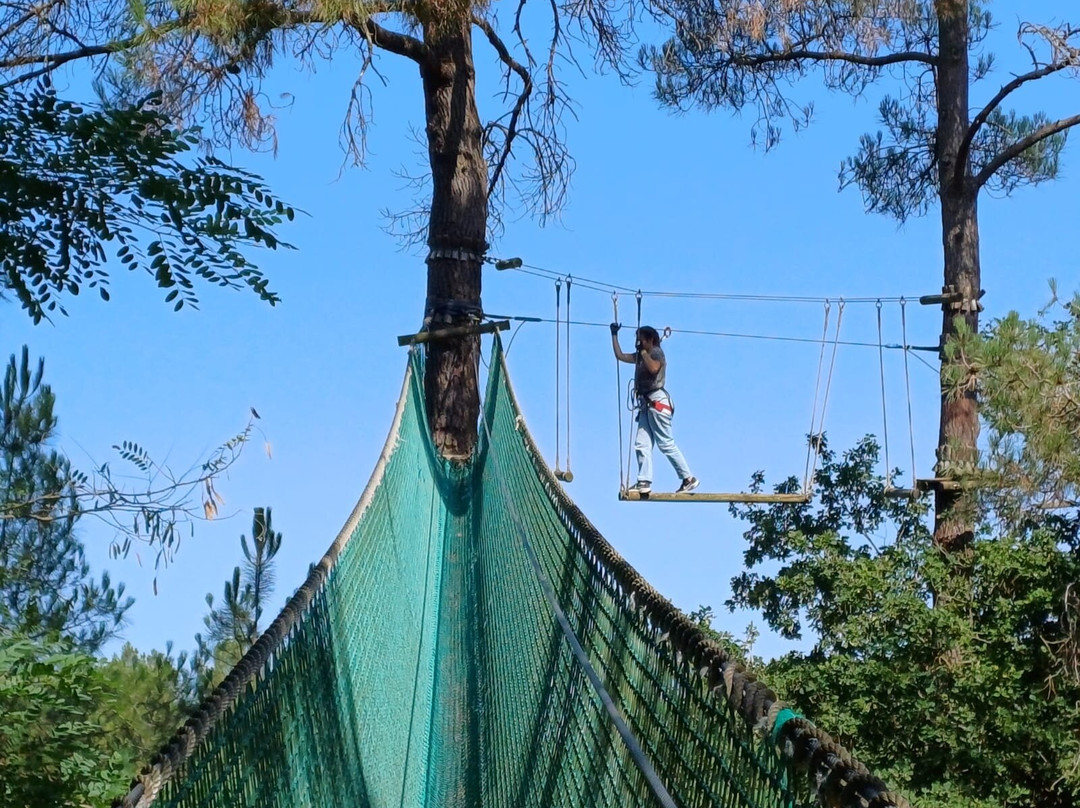 Parcours aventure 49-Brion必去景点