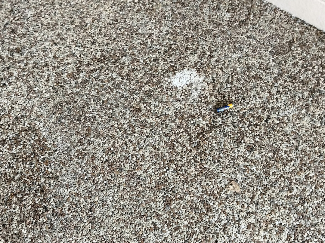 Best Western Sault Ste. Marie主图