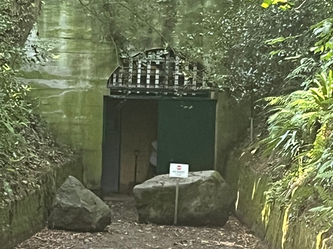 Islands Unlimited-泽西岛必去景点