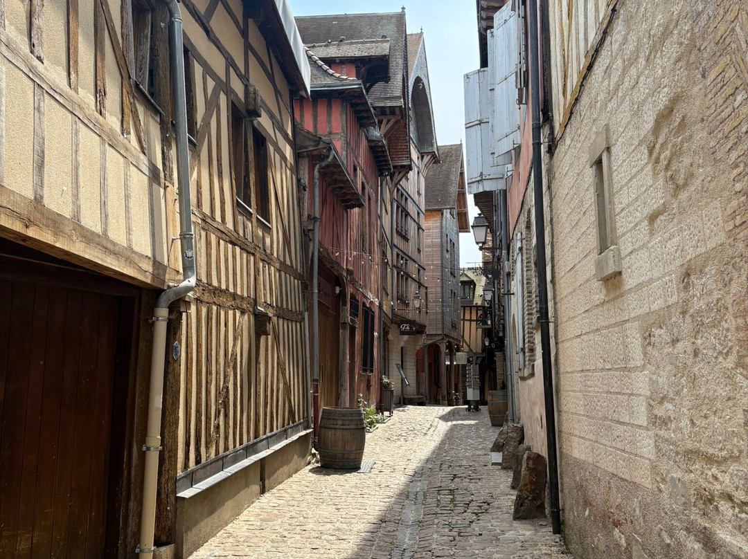 Ruelle des Chats-特鲁瓦必去景点