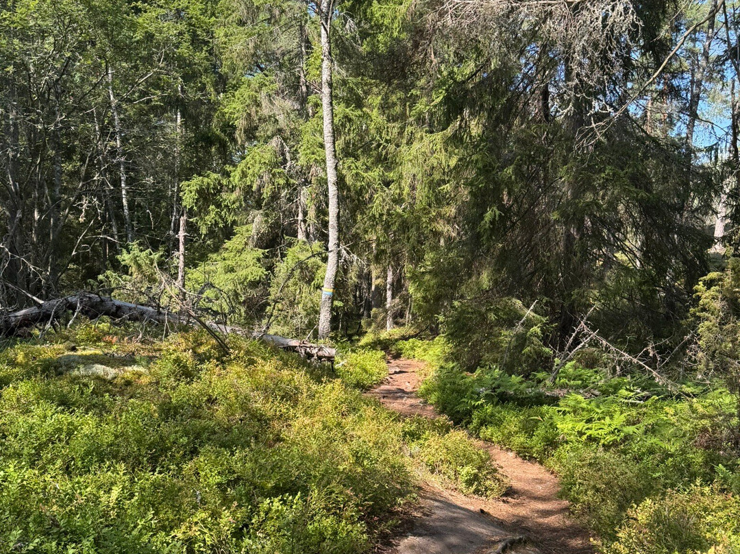 Grinda-Vaxholm必去景点