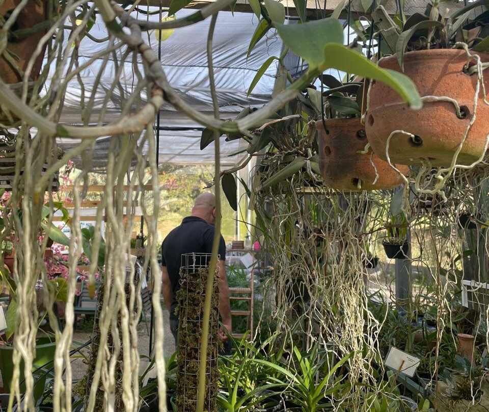 Fábrica de Orquídeas-Paty do Alferes必去景点