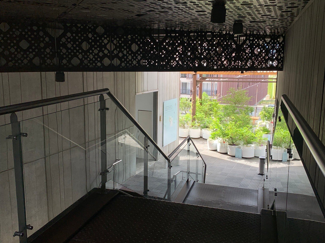 Medellin Museum of Modern Art-麦德林必去景点