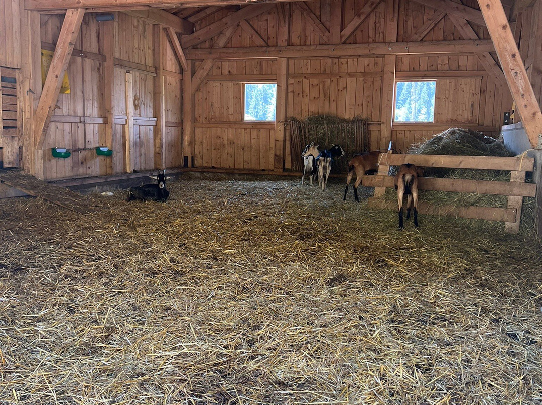 Les Lindarets Village des Chevres-Montriond必去景点