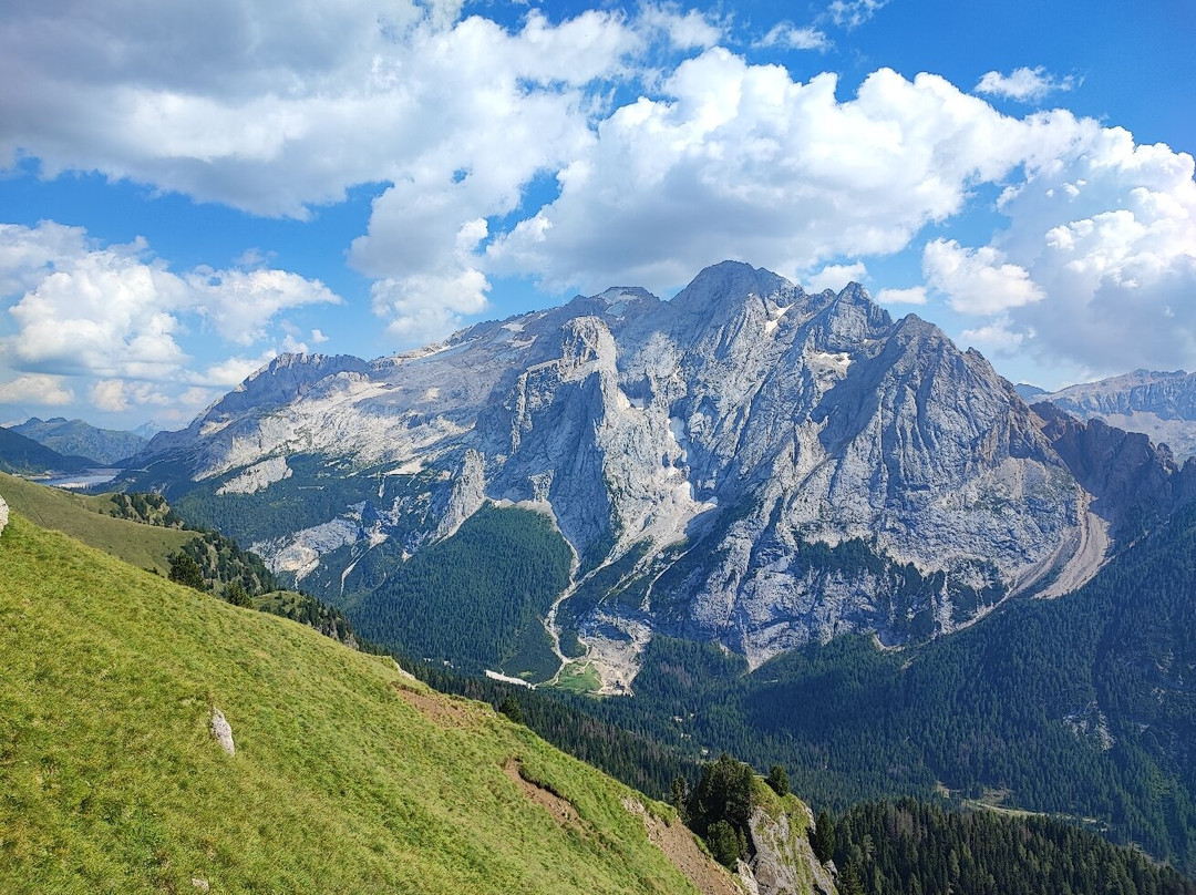 Funivia Pecol - Col dei Rossi-卡纳泽伊必去景点