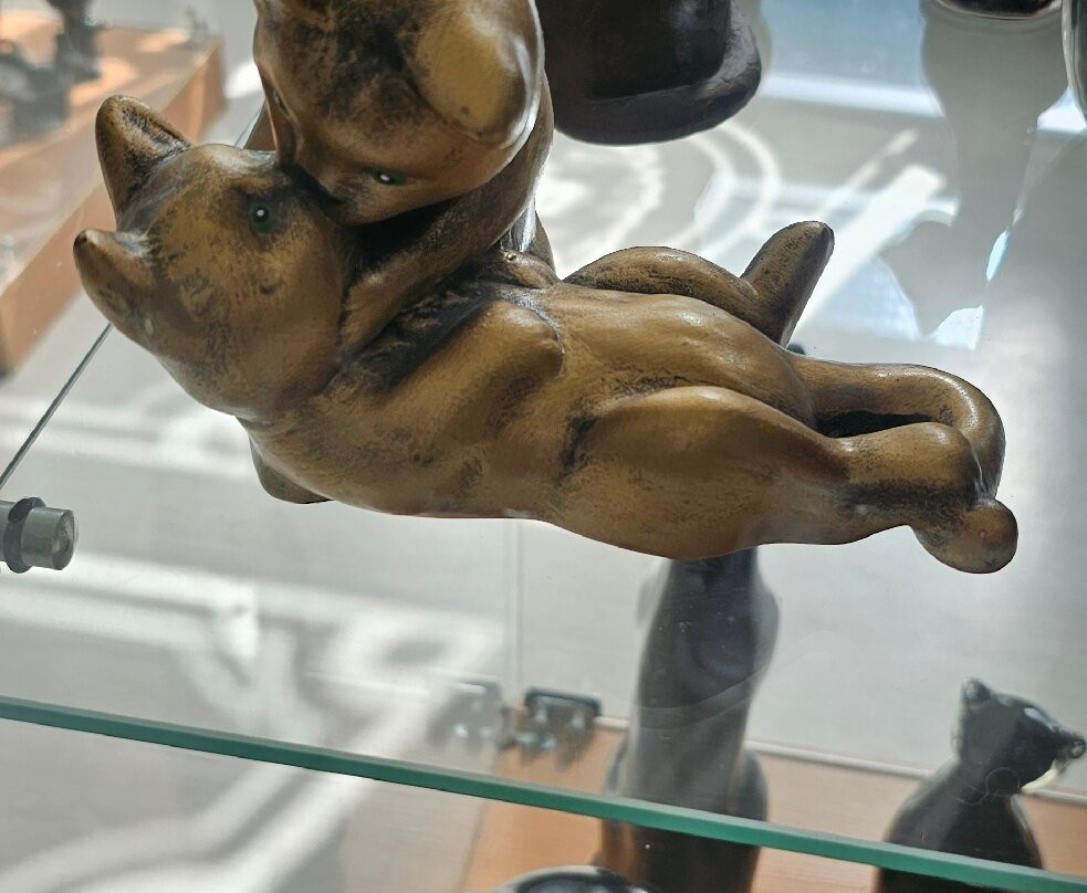 The Cat Museum-希奥利艾必去景点