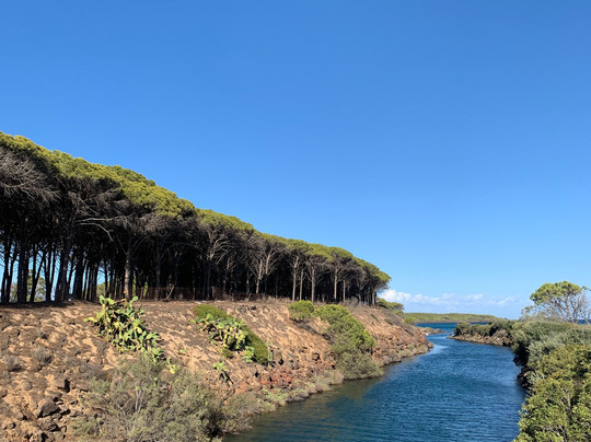 Marina di Orosei-奥罗塞必去景点