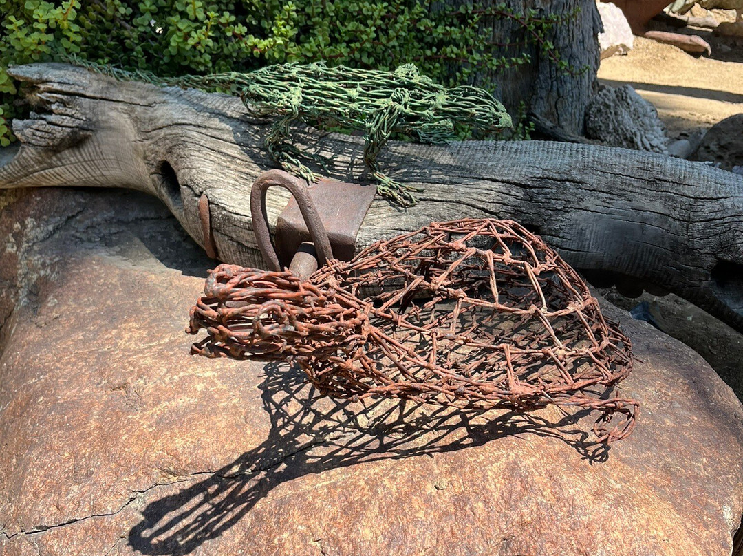 摩登热带植物园-棕榈泉市必去景点