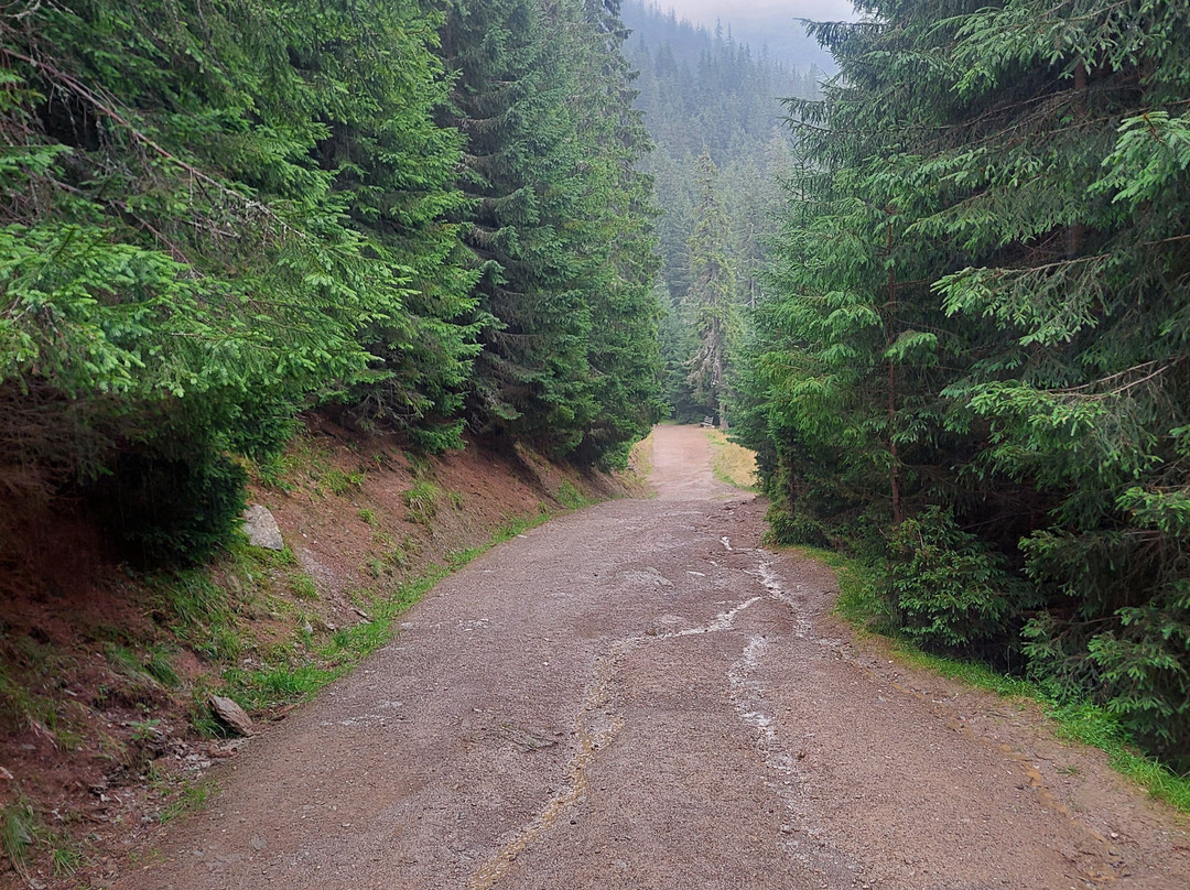 Telescaun Cascada Cailor-Statiunea Borsa必去景点