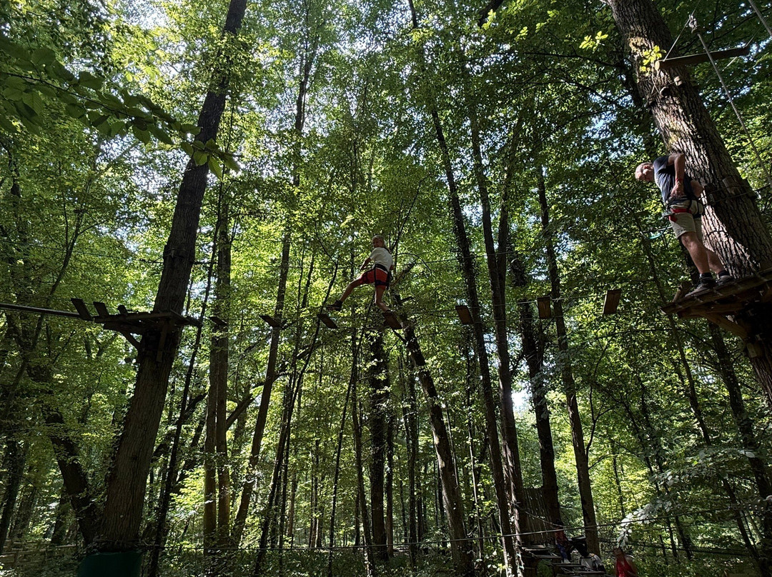 Grimpobranches-Lusigny sur Barse必去景点