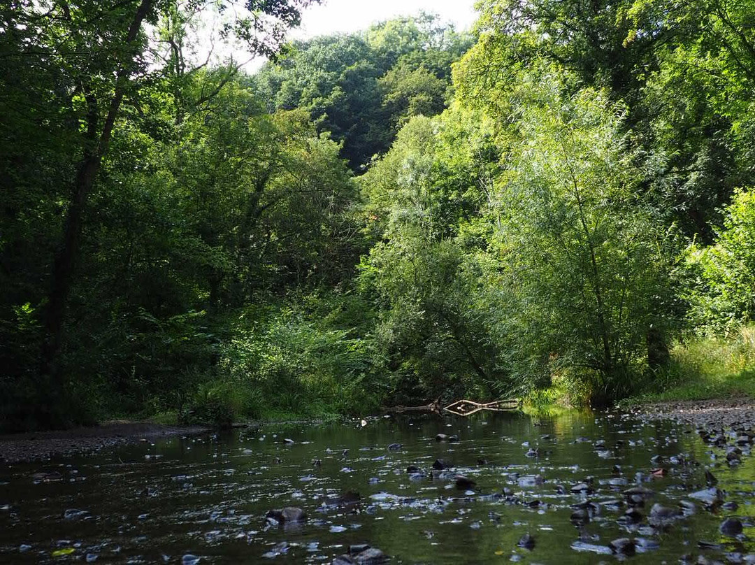 Wepre Park-Connah's Quay必去景点