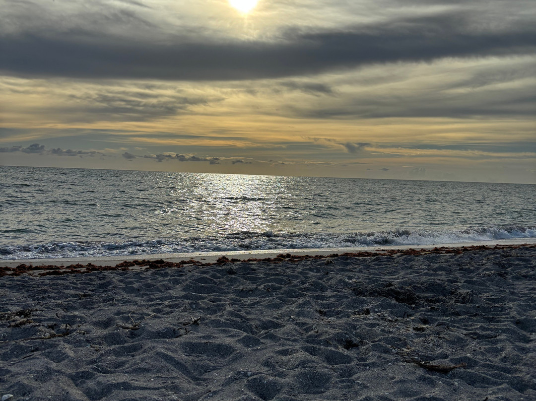 威尼斯海滩别墅主图