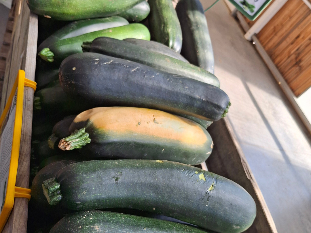 La Ferme de Rutel Cueillette-Villenoy必去景点