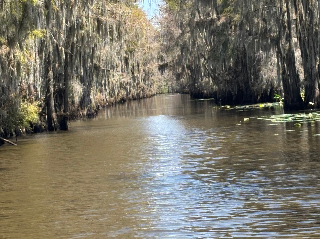 Captain Ron's Swamp Tours-Karnack必去景点