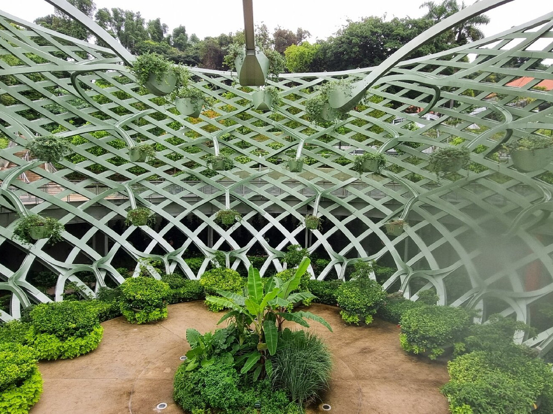 Sentosa SensoryScape-新加坡必去景点