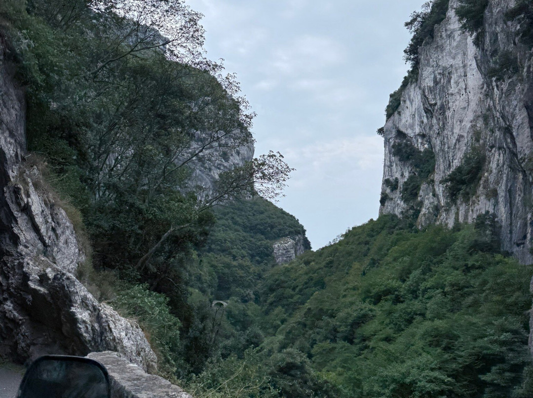 Lesgeckos-旺斯必去景点