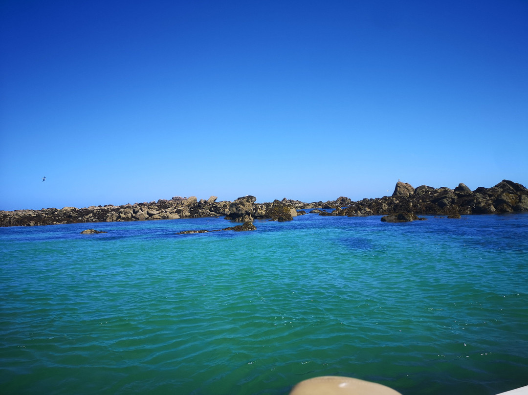 Armor Loisirs Nautiques-Binic必去景点