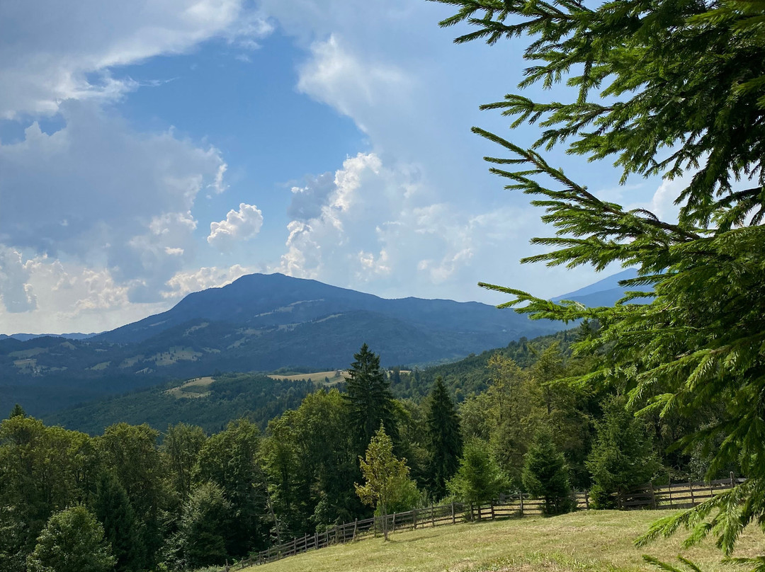 CarpatBike-布加勒斯特必去景点