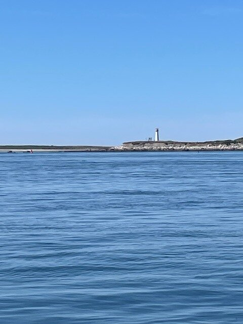 Tusket Island Tours-Wedgeport必去景点