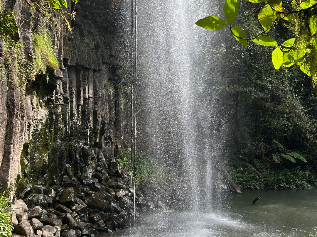 Millaa Millaa Falls-Millaa Millaa必去景点