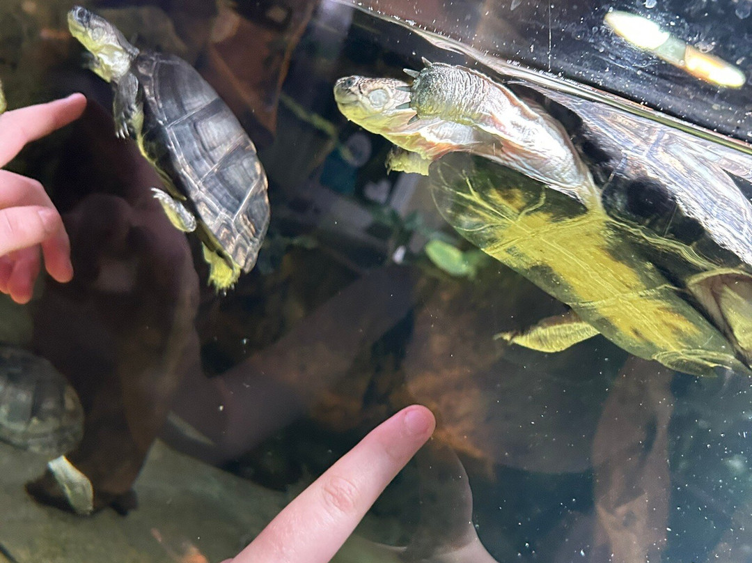 Aquarium du Limousin-利摩日必去景点
