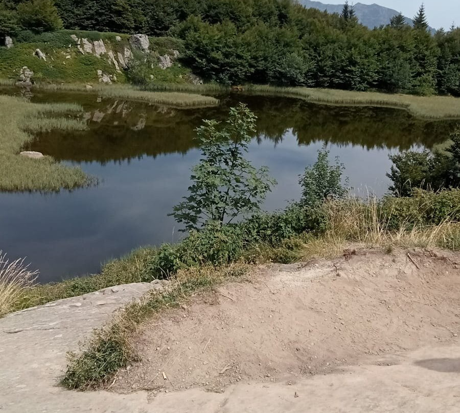 Locanda Farinati主图