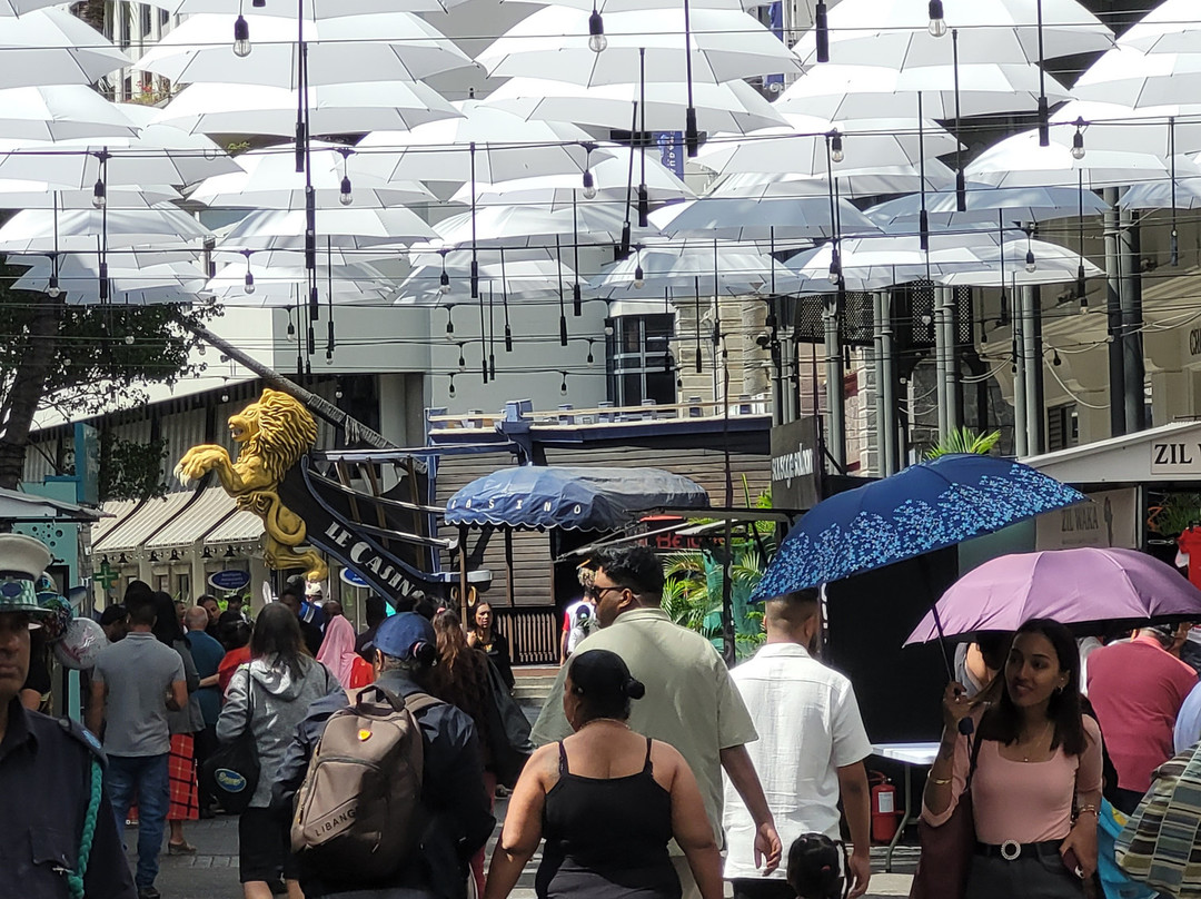 Port Louis Waterfront by Landscope Mauritius-路易士港必去景点