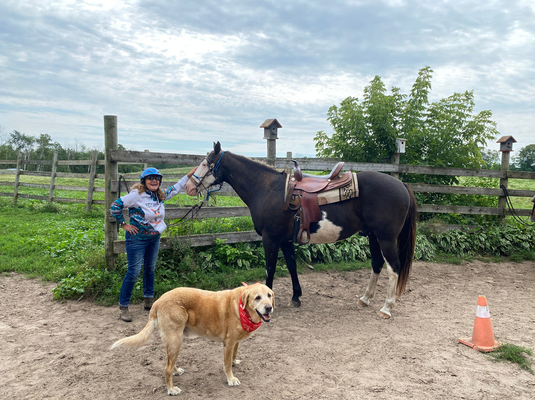 Kurtz Corral-斯特金贝必去景点